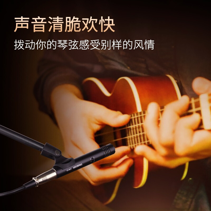 得胜 TAKSTAR CM-63 乐器录音麦克风 黑色 计价单位:个