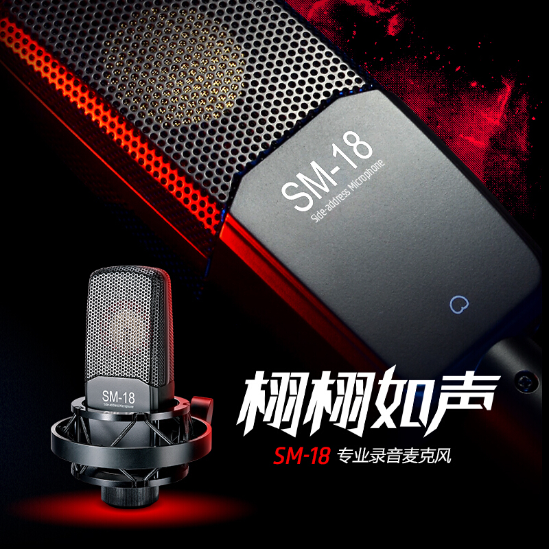 得胜 TAKSTAR SM-18 专业电容麦克风   标配 不带声卡 黑色 计价单位:台