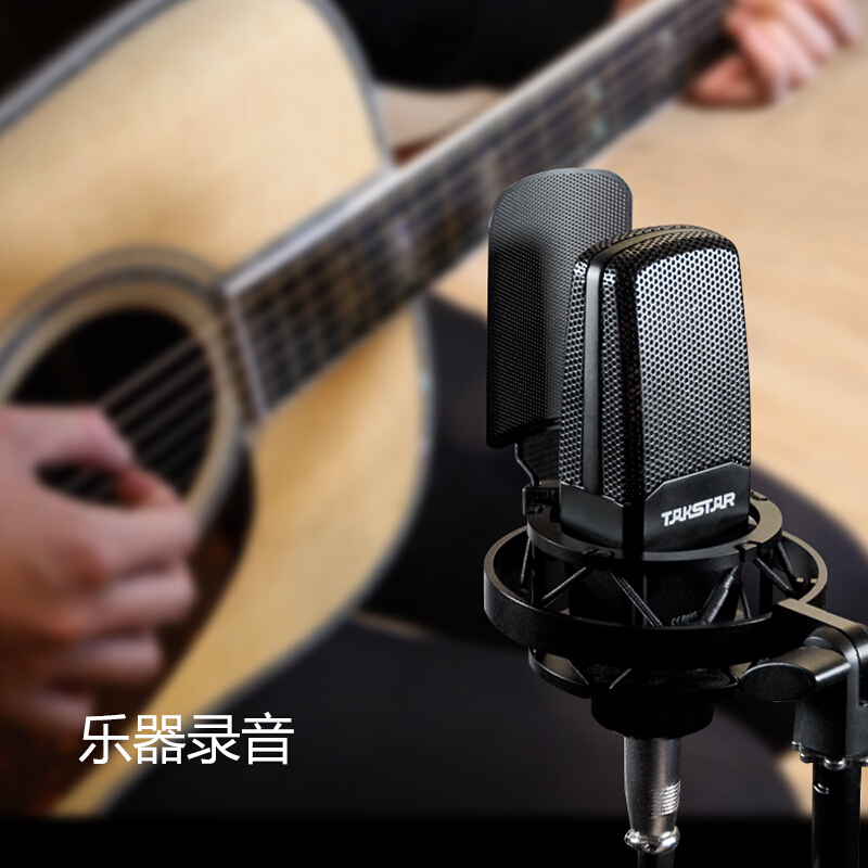得胜 TAKSTAR SM-18 专业电容麦克风   标配 不带声卡 黑色 计价单位:台