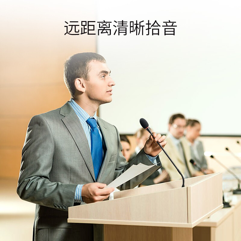 得胜 TAKSTAR DG-S101 T1 嵌入式鹅颈主席单元 手拉手会议系统 计价单位: 台