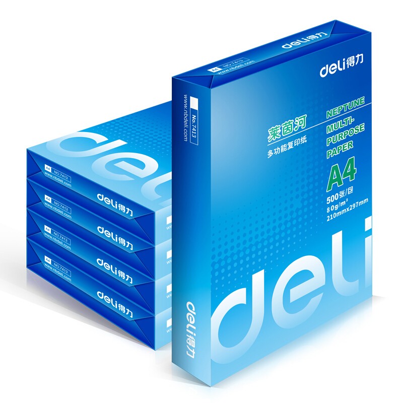 得力 deli 7419 复印纸 莱茵河系列 A4 80克 500张/包 5包/箱 计价单位:箱
