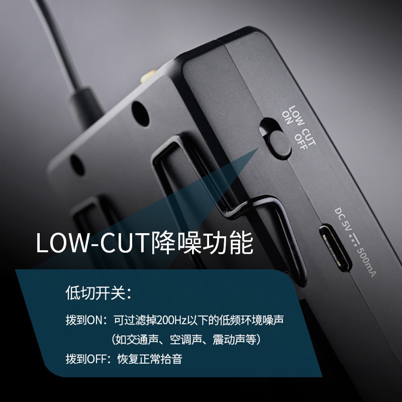 得胜 TAKSTAR SGC-200W 小蜜蜂无线麦克风 一拖二 双麦 领夹式 计价单位: 套