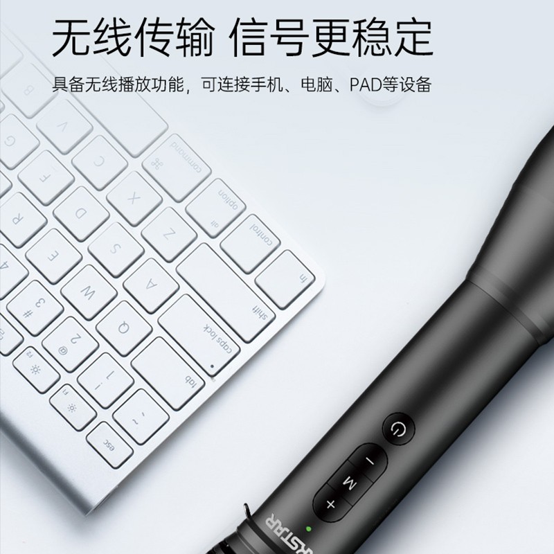 得胜 TAKSTAR DA10 话筒音响一体麦克风 无线蓝牙 黑色 计价单位: 个