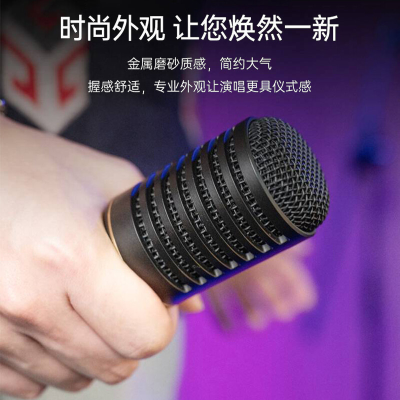 得胜 TAKSTAR PCM-5600 专业录音麦克风 黑色 计价单位:个