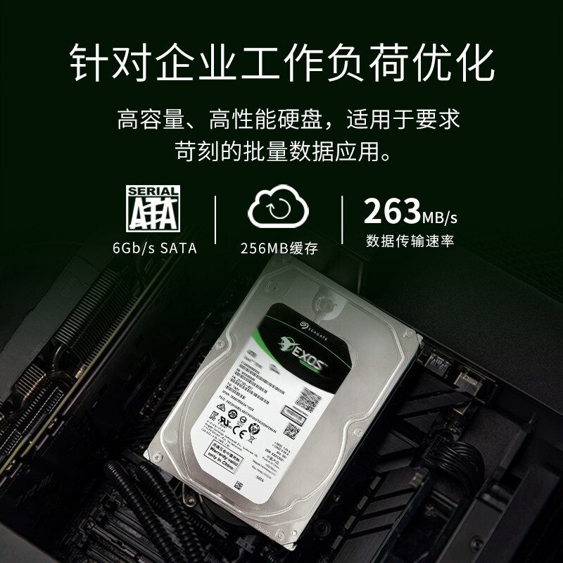 希捷 SEAGATE ST10000NM017B 企业级硬盘 10TB 256MB 7200RPM SATA接口 银河Exos 7E10系列 计价单位:个