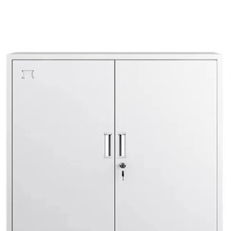 飞霞  900*400*950mm 文件柜 铁皮 计价单位:组