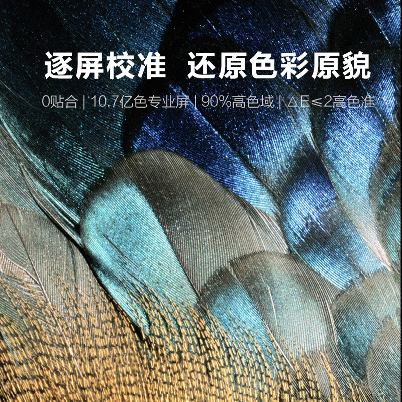 MAXHUB  CF65MA 65英寸 会议高清显示屏 i5核 移动支架 传屏 智能笔 计价单位:套