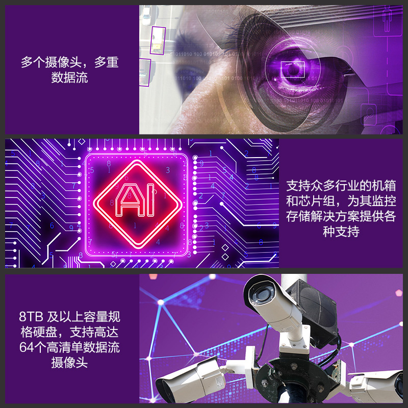 西部数据 WD WD8001EJRP  监控硬盘紫盘Pro 8TB SATA6Gb/s 7200转256M 计价单位: 个