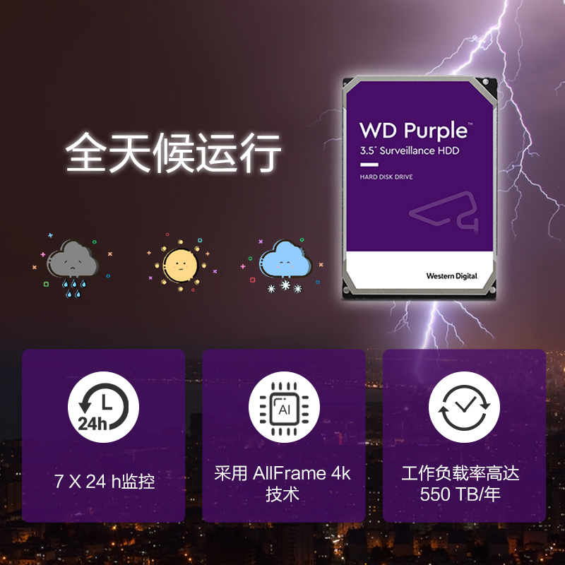 西部数据 WD WD8001EJRP  监控硬盘紫盘Pro 8TB SATA6Gb/s 7200转256M 计价单位: 个