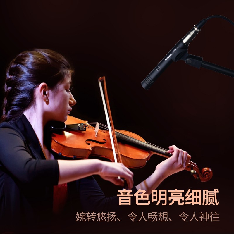 得胜 TAKSTAR CM-63 乐器录音麦克风 黑色 计价单位:个
