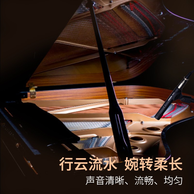 得胜 TAKSTAR CM-63 乐器录音麦克风 黑色 计价单位:个