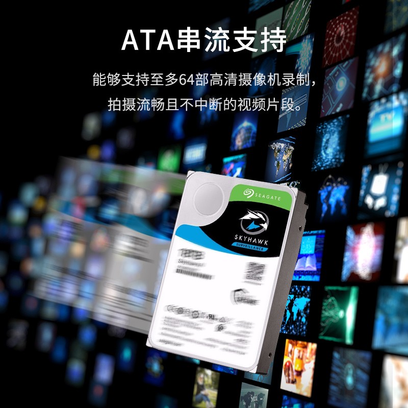 希捷 SEAGATE ST10000VE001 监控硬盘 10TB 酷鹰AI 256MB 7200转 SATA 计价单位:个