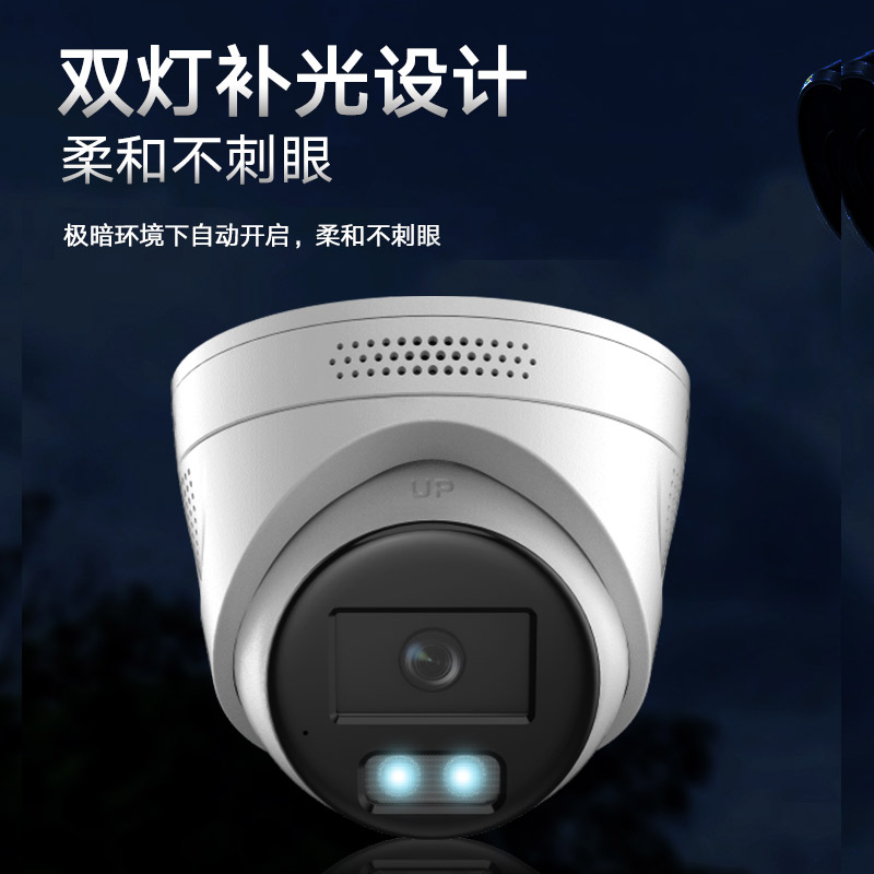 海康威视 HIKVISION DS-2CD3326WDA4-L 海螺型网络摄像头  200万 白光全彩  POE 计价单位:个