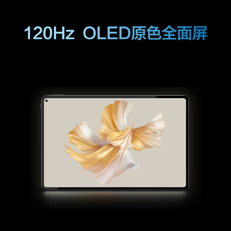 华为 HUAWEI MatePad Pro 11 平板电脑  8+256GB WIFI 星河蓝  性能版 120Hz高刷全面屏 含专用翻盖保护套 深海蓝 计价单位:套