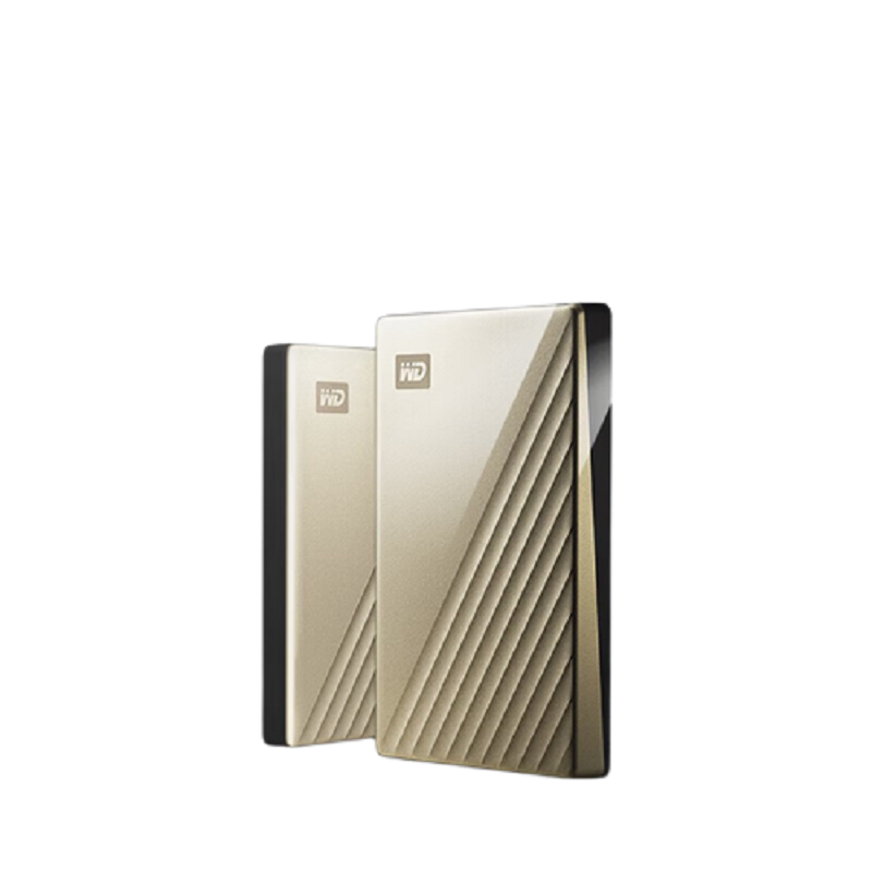 西部数据 WD BFTM0040BGD 移动硬盘4T+硬盘套 Type-C 2.5寸 金色 计价单位:块