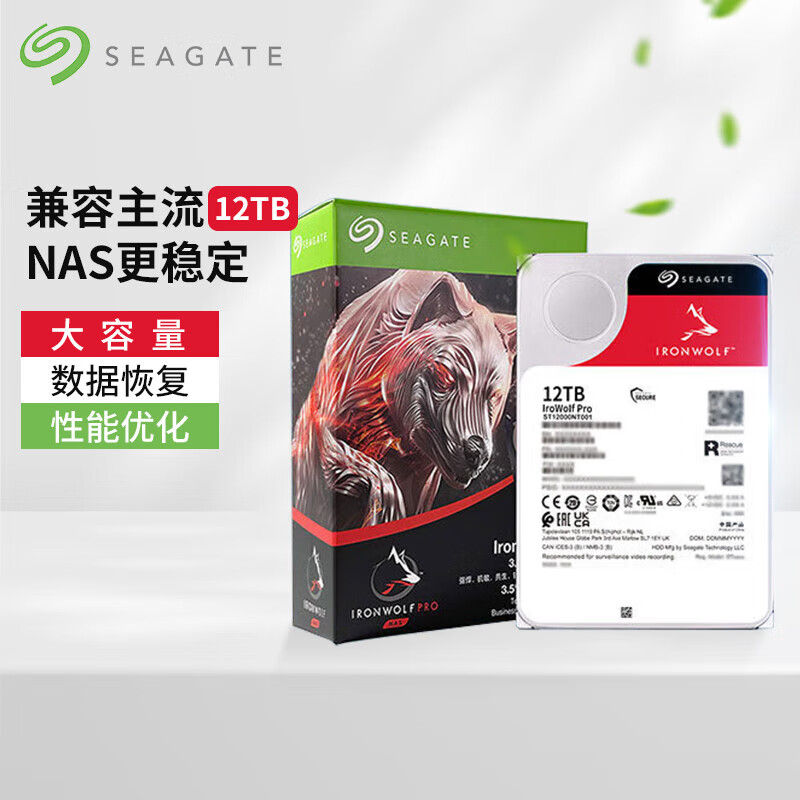 希捷 SEAGATE ST12000NT001 NAS硬盘 12TB 256MB 7200转 PMR CMR垂直技术网络存储SATA酷狼PRO 计价单位:个