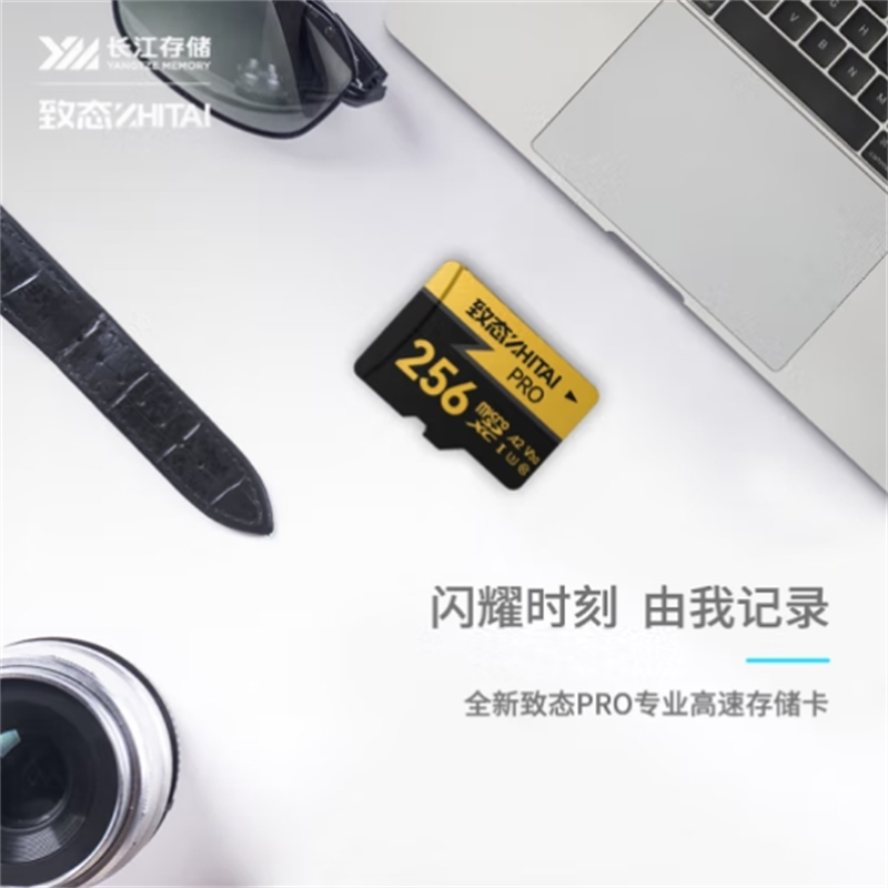 致态 ZHITAI ZTCPBET04L10BC 长江存储 256GB TF U3 V30 A2 PRO专业高速存储卡 读速170MB 计价单位:个