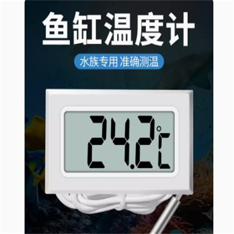 智坚鹏  2秒2米 数显温度计  带探头   白色 计价单位:个
