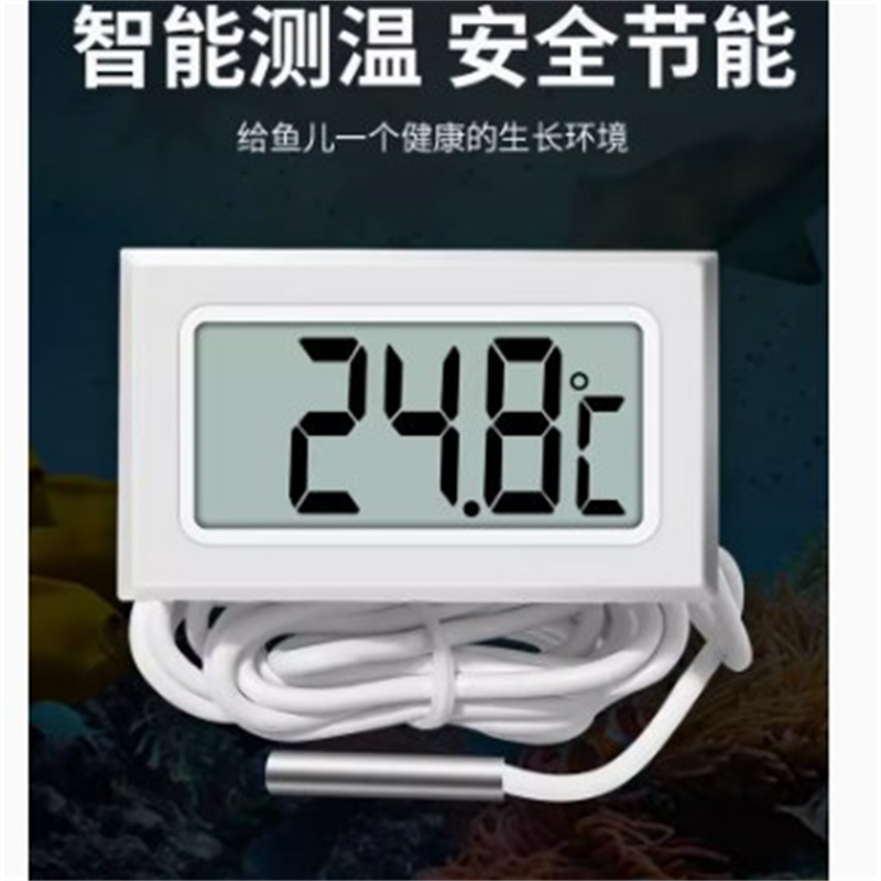 智坚鹏  2秒2米 数显温度计  带探头   白色 计价单位:个