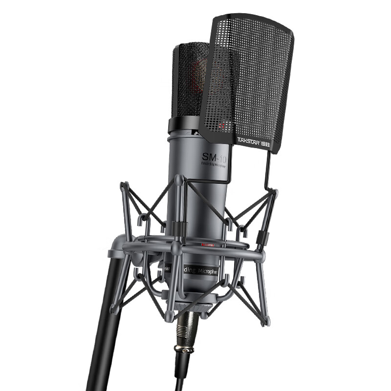 得胜 TAKSTAR SM-10 专业录音麦克风 48V 灰色 计价单位:支