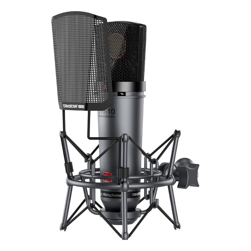 得胜 TAKSTAR SM-10 专业录音麦克风 48V 灰色 计价单位:支