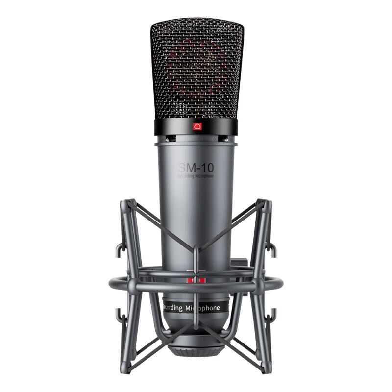 得胜 TAKSTAR SM-10 专业录音麦克风 48V 灰色 计价单位:支