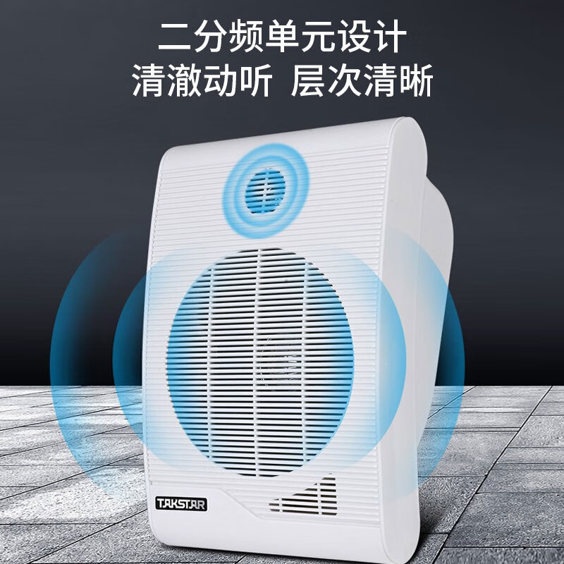 得胜 TAKSTAR MG-620W 壁挂音箱 学校教室商场等室内挂墙音响 白色 计价单位:只