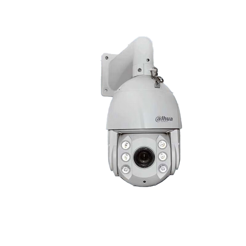 大华  DH-SD6220 网络球形摄像头 计价单位:个