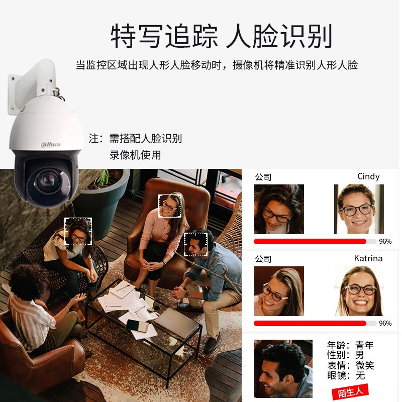 大华  DH-SD4223-D 4寸200万红外网络球机 计价单位:个