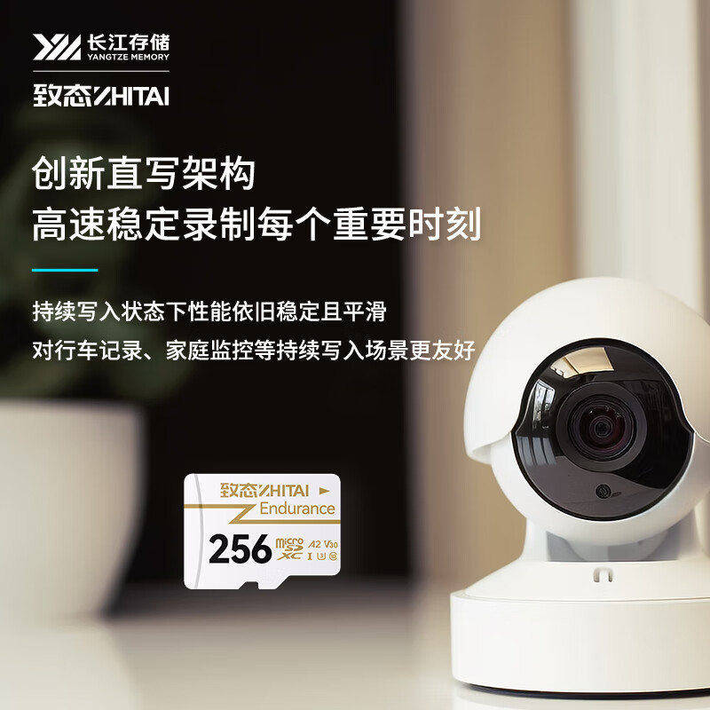 致态 ZHITAI 256G 存储卡 Endurance 长江存储 256GB TF MicroSD  计价单位:个