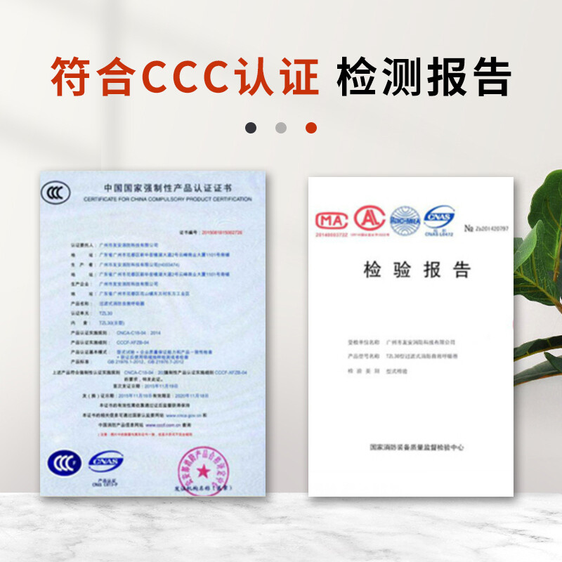 谋福  8100 TZL30（仓） 防毒面具 计价单位:个