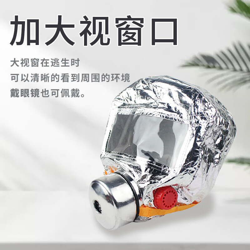 谋福  8100 TZL30（仓） 防毒面具 计价单位:个