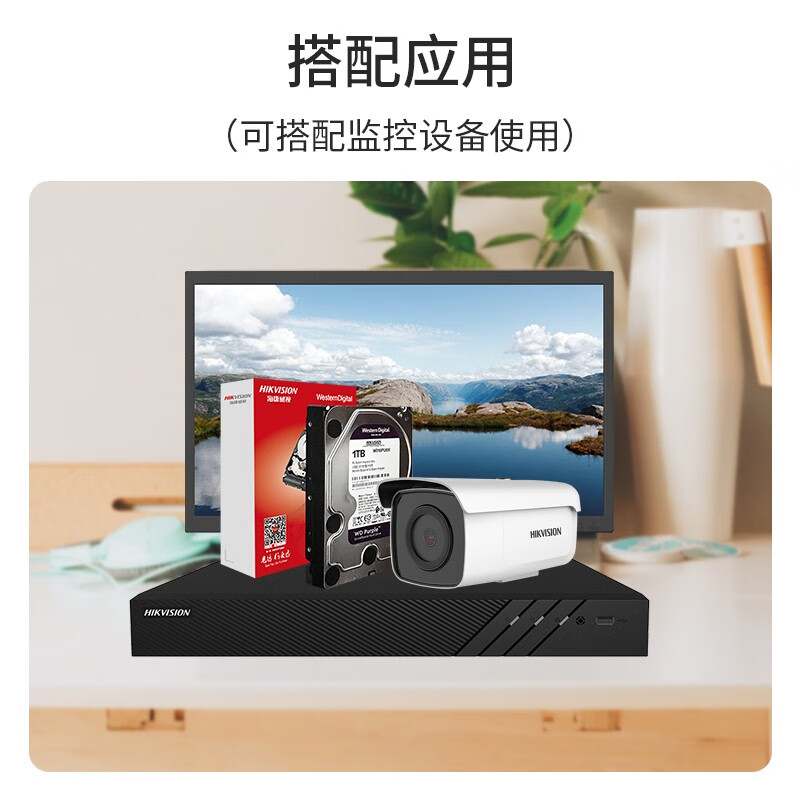 海康威视 HIKVISION  ST6000HKVS002-DJ 监控级硬盘  6TB   计价单位:块