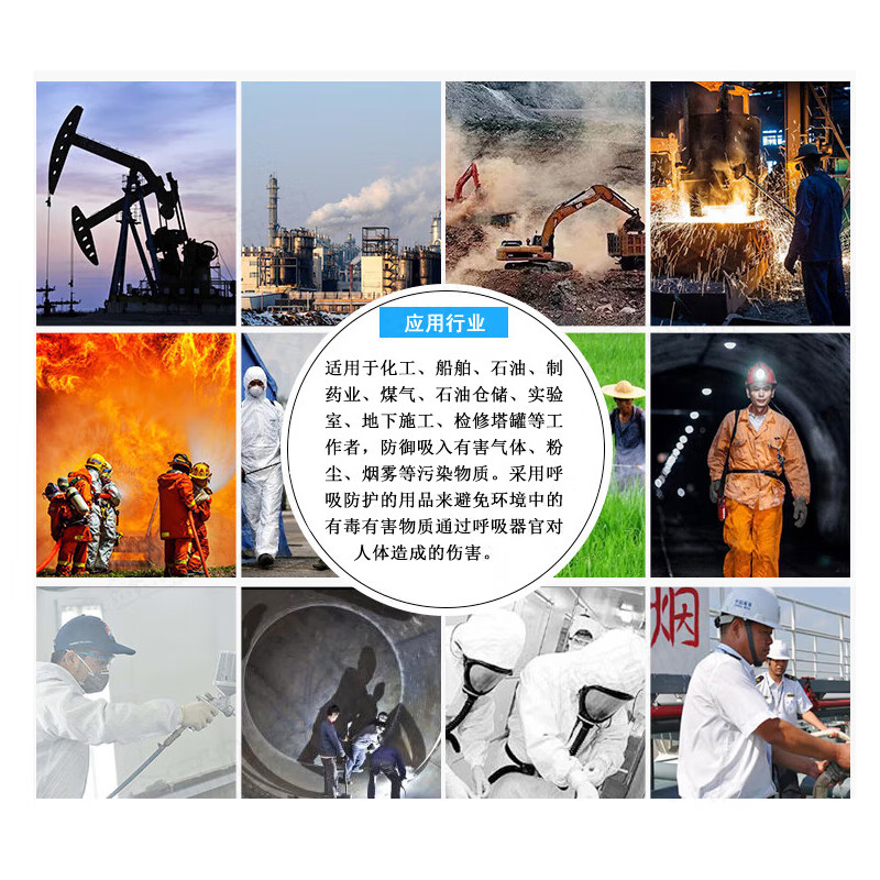 谋福  244 供气式防毒面具 防尘电动送风呼吸器农药甲醛面罩（XLSFA6-7502） 计价单位:个