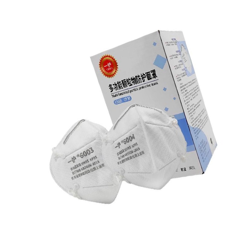 一护 6003 PM2.5 防尘口罩 头戴口罩(30只) 计价单位:包 一护 6003 PM2.5 防尘口罩 头戴口罩(30只) 计价单位:包