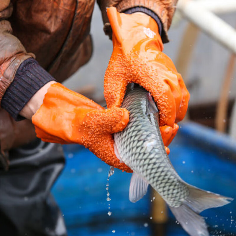 东亚 DONG-A 807 防油防酸碱手套棉衬里PVC浸塑颗粒止滑耐磨劳保防护手套 3双装（薄款） 计价单位:套