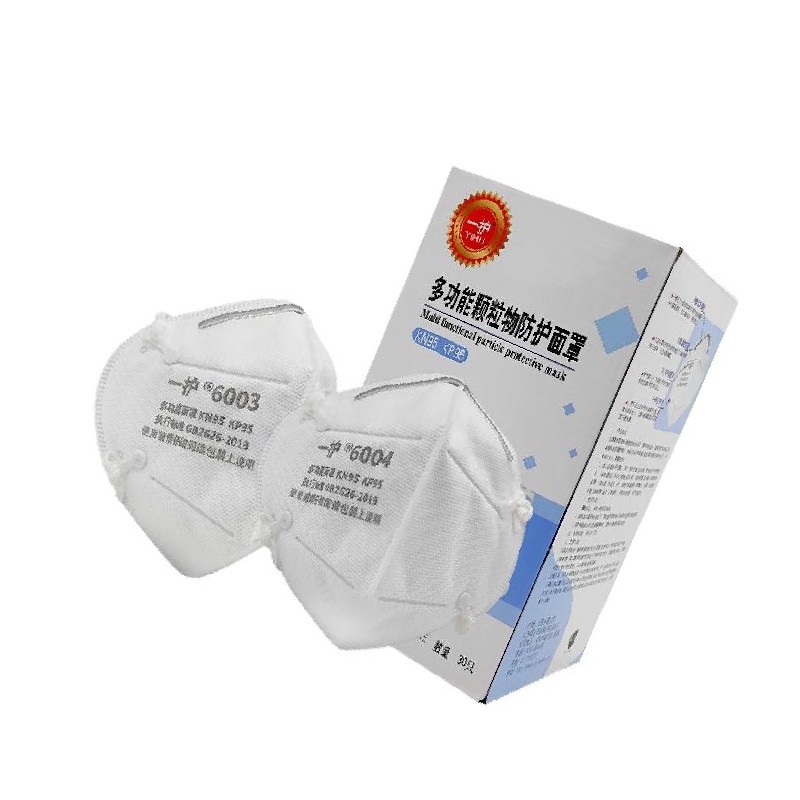 一护 6003 PM2.5 防尘口罩 头戴口罩(30只) 计价单位:包 一护 6003 PM2.5 防尘口罩 头戴口罩(30只) 计价单位:包