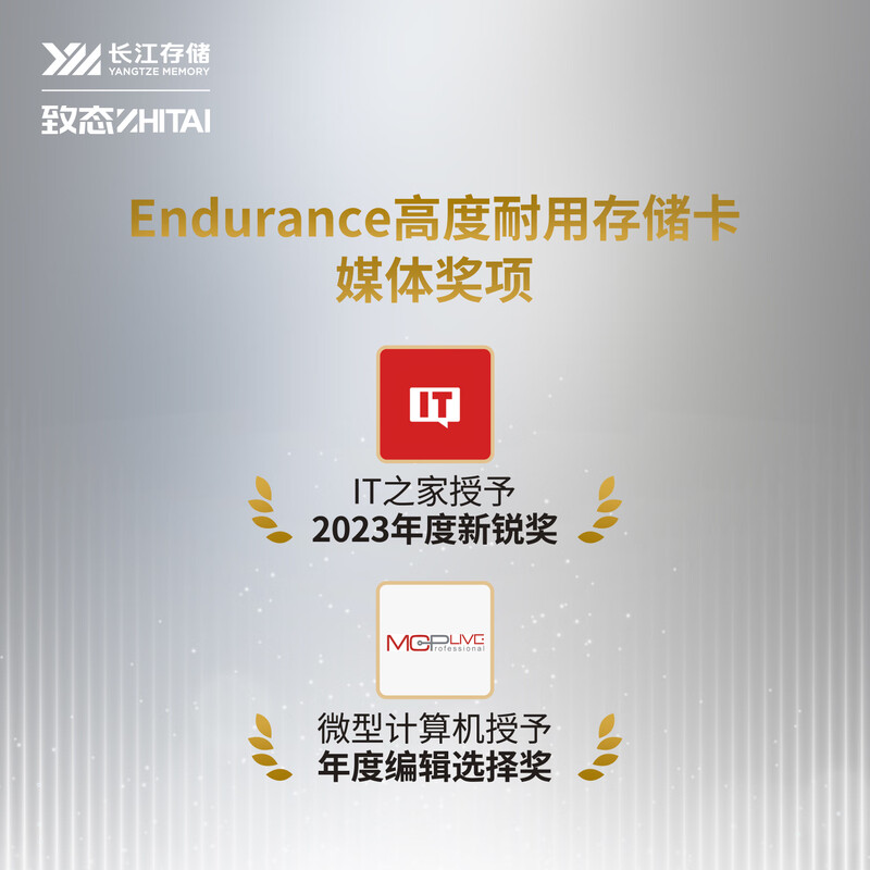 致态 ZHITAI 128GB Endurance高度耐用存储卡 长江存储 计价单位:个