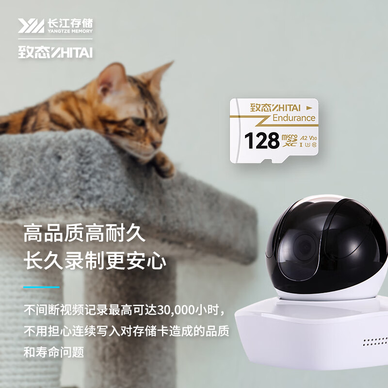 致态 ZHITAI 128GB Endurance高度耐用存储卡 长江存储 计价单位:个