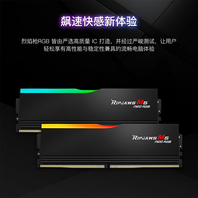 芝奇 F5-6000J3038F16GX2-RM5NRK 台式机内存 32GB(16Gx2) DDR5 6000 烈焰枪RGB 灯条-黑色/AMD EXPO/C30 计价单位:组 芝奇 F5-6000J3038F16GX2-RM5NRK 台式机内存 32GB(16Gx2) DDR5 6000 烈焰枪RGB 灯条-黑色/AMD EXPO/C30 计价单位:组