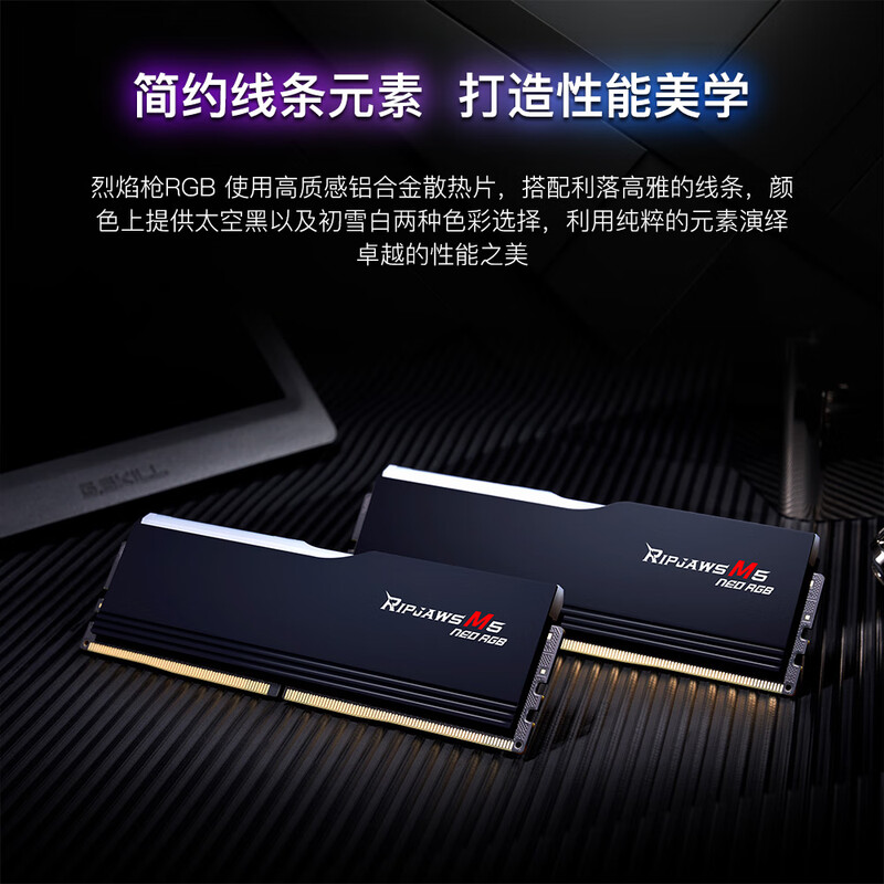 芝奇 F5-6000J3038F16GX2-RM5NRK 台式机内存 32GB(16Gx2) DDR5 6000 烈焰枪RGB 灯条-黑色/AMD EXPO/C30 计价单位:组 芝奇 F5-6000J3038F16GX2-RM5NRK 台式机内存 32GB(16Gx2) DDR5 6000 烈焰枪RGB 灯条-黑色/AMD EXPO/C30 计价单位:组