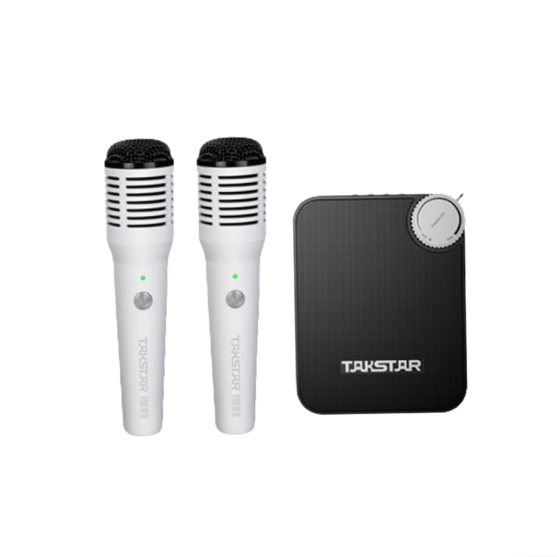 得胜 TAKSTAR E500W 无线便携式扩音器 双手持麦克风版 计价单位:套