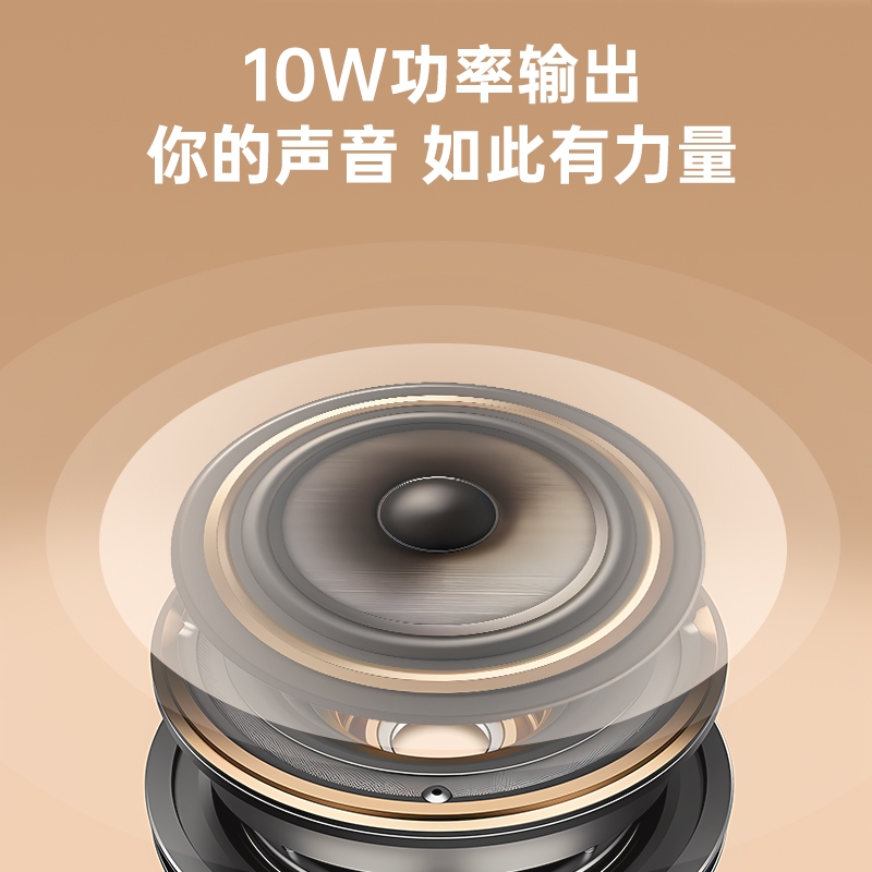 得胜 TAKSTAR E150S 小蜜蜂扩音器 云岩白标配 计价单位:个