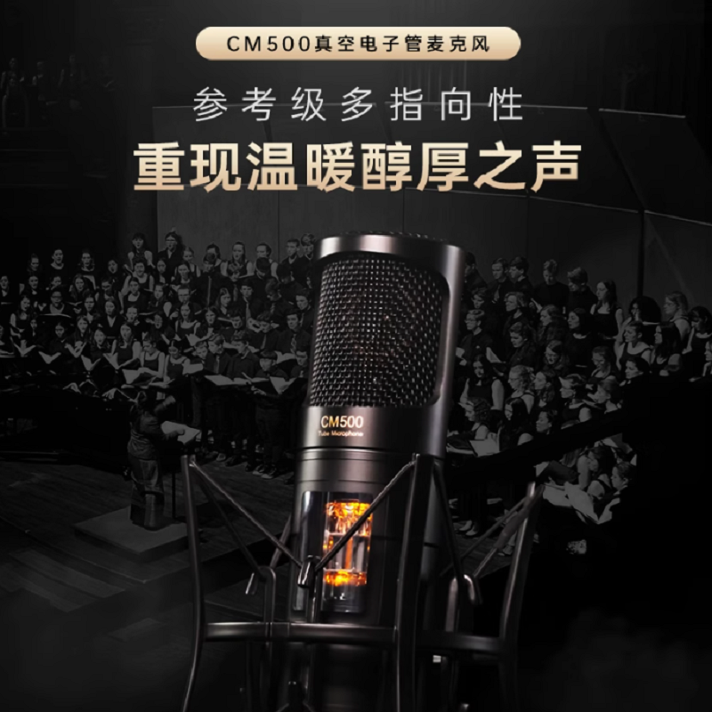 得胜 TAKSTAR CM500 专业电容麦克风 计价单位:个