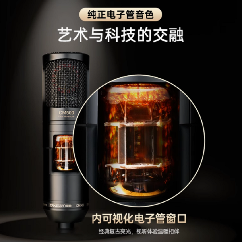 得胜 TAKSTAR CM500 专业电容麦克风 计价单位:个