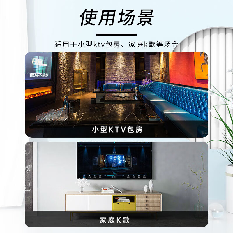 得胜 TAKSTAR EKT-8L 音箱 小型家庭K歌会议娱乐卡包音箱 黑色 计价单位:只