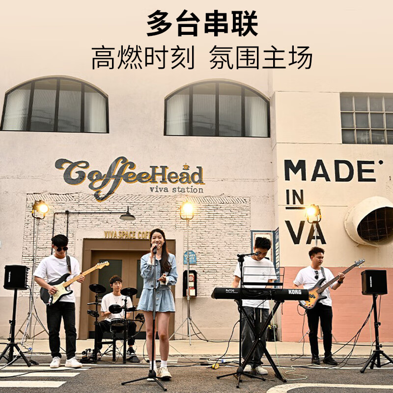 得胜 TAKSTAR OD200 音箱 乐器娱乐音箱户外路演唱歌音响直播内录吉他民谣弹唱乐器音箱K歌大功率 计价单位:台