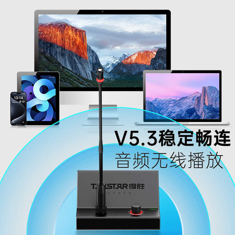 得胜 TAKSTAR BN30B 台式演讲麦 麦克风话筒音响一体机蓝牙无线鹅颈会议音箱设备系统全套 计价单位:套