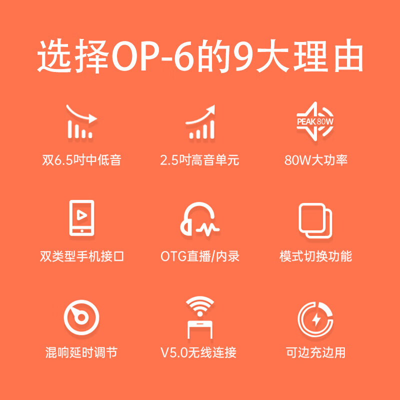 得胜 TAKSTAR OP-6 电木吉他民谣弹唱路演音箱 广场舞音响 户外便携式音响 便携音箱 计价单位:台