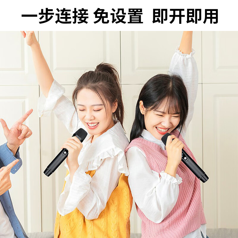 得胜 TAKSTAR TS-K301 无线麦克风  无线一拖一 计价单位:个